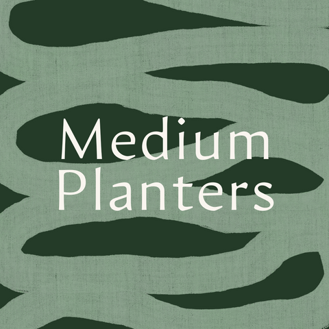Medium Planters